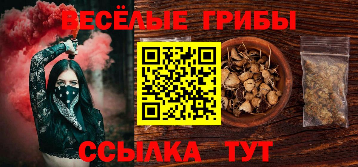Галлюциногенные грибы ЛСД  Вход с VPN  Псилоцибиновые грибы GOLDEN TEACHER  Кемерово 