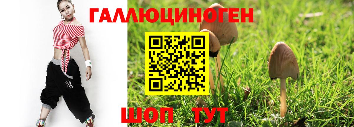 Псилоцибиновые грибы мухоморы Кемерово